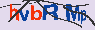 Ungültiger Sicherheitscode